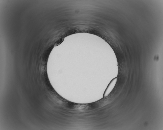 X0000096650135200803041157