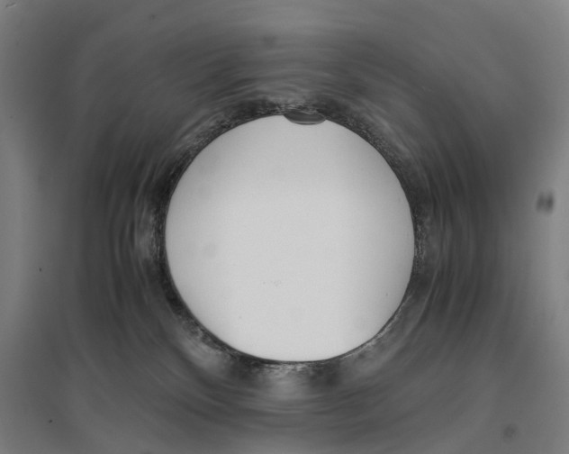 X0000096650136200803041157