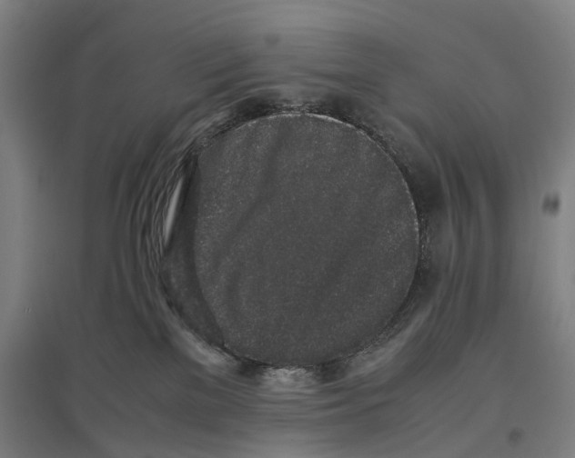 X0000096650137200803041157