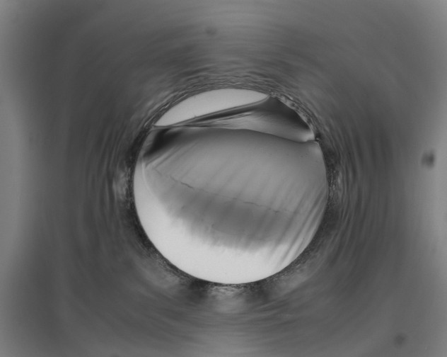 X0000096650139200803041157