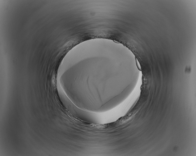 X0000096650143200803041157