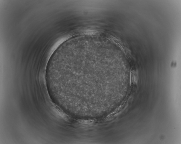 X0000096650147200803041157