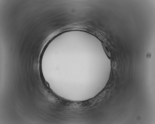 X0000096650148200803041157