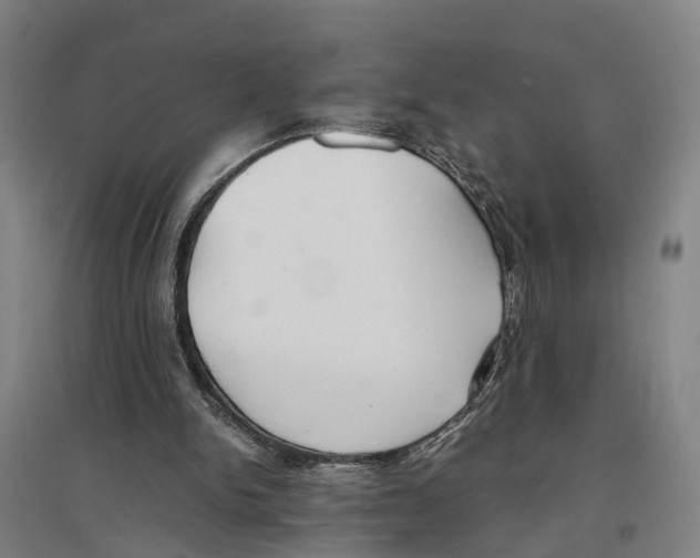 X0000096650150200803041157