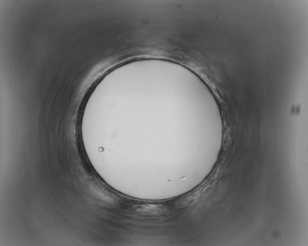 X0000096650151200803041157