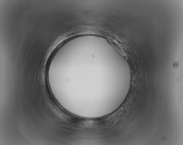 X0000096650152200803041157