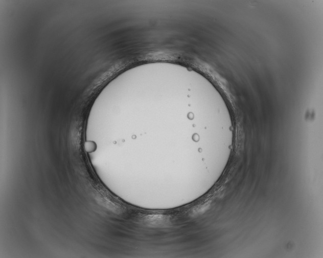 X0000096650153200803041157