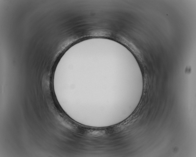 X0000096650155200803041157