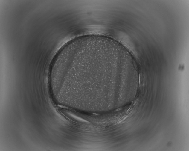 X0000096650156200803041157