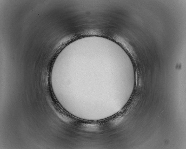 X0000096650157200803041157