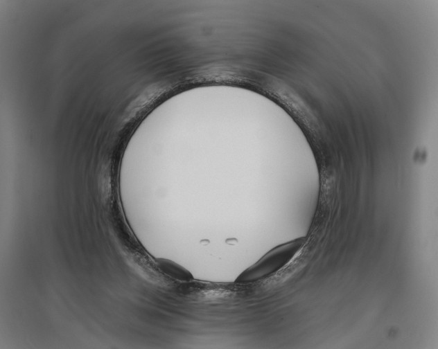 X0000096650158200803041157