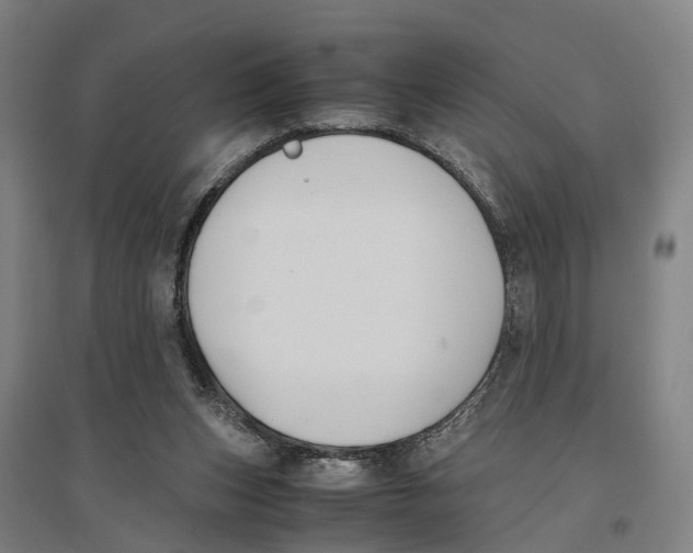 X0000096650159200803041157