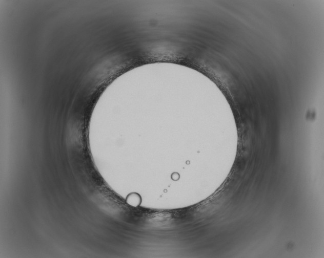 X0000096650162200803041157