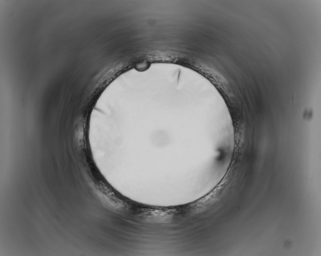 X0000096650166200803041157