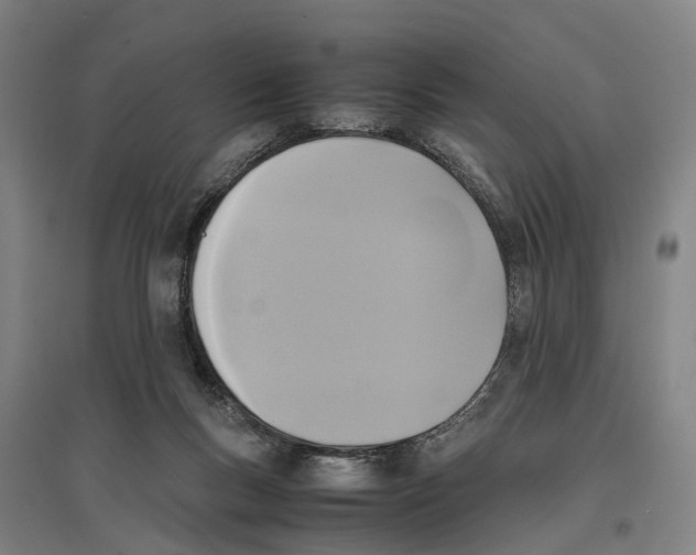 X0000096650167200803041157