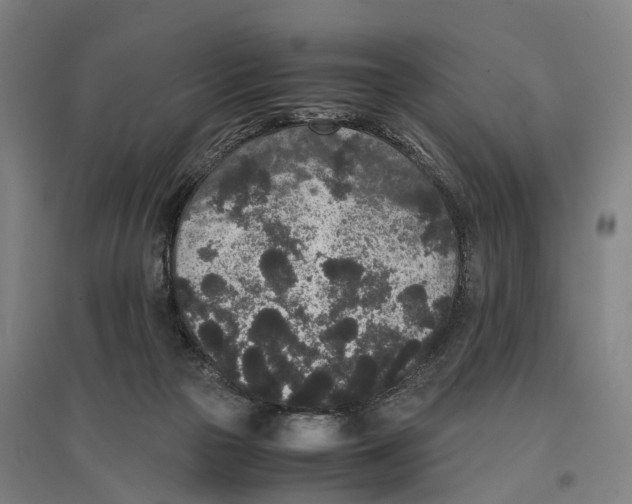 X0000096650169200803041157