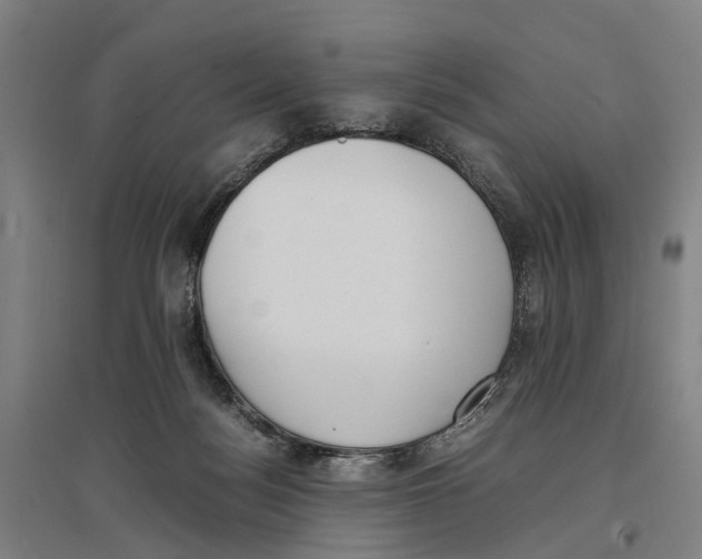 X0000096650172200803041157