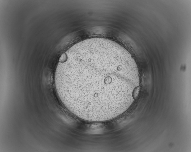 X0000096650173200803041157