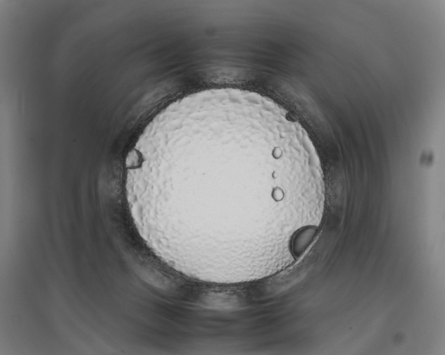 X0000096650175200803041157