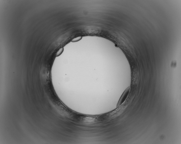 X0000096650176200803041157