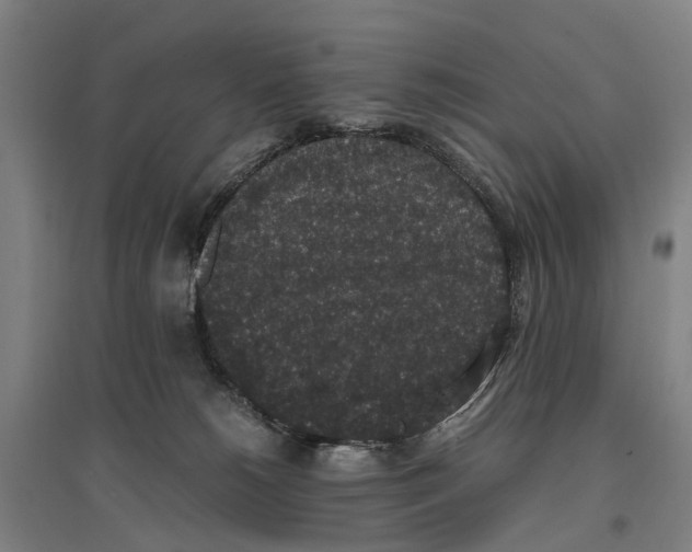 X0000096650180200803041157