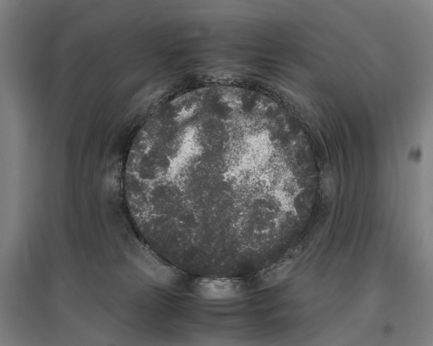 X0000096650181200803041157