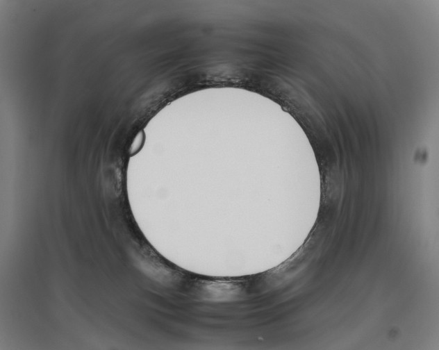 X0000096650183200803041157