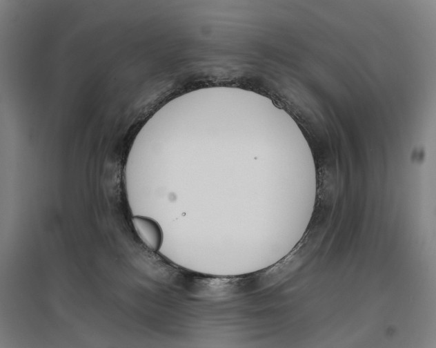 X0000096650184200803041157