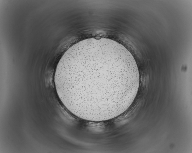 X0000096650185200803041157