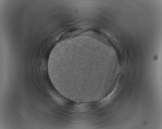 X0000096650186200803041157