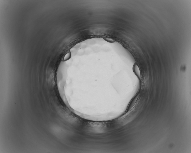 X0000096650187200803041157