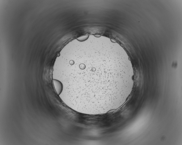 X0000096650191200803041157