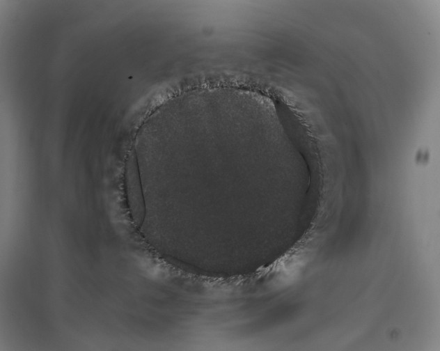 X0000096650192200803041157