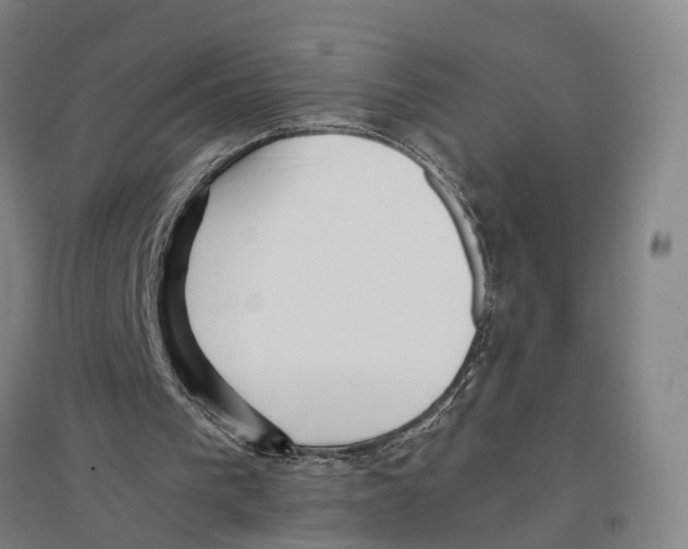 X0000096650193200803041157