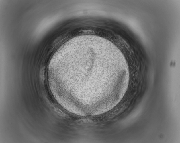 X0000096650194200803041157