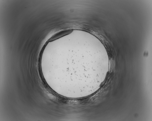 X0000096650195200803041157