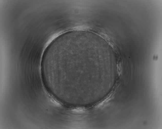 X0000096650196200803041157