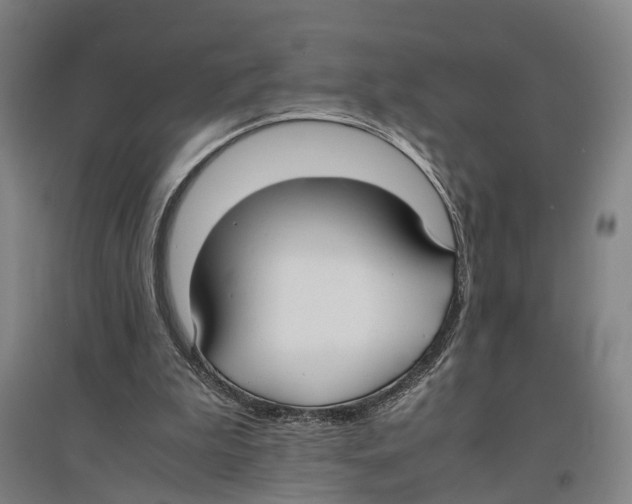 X0000096650199200803041157