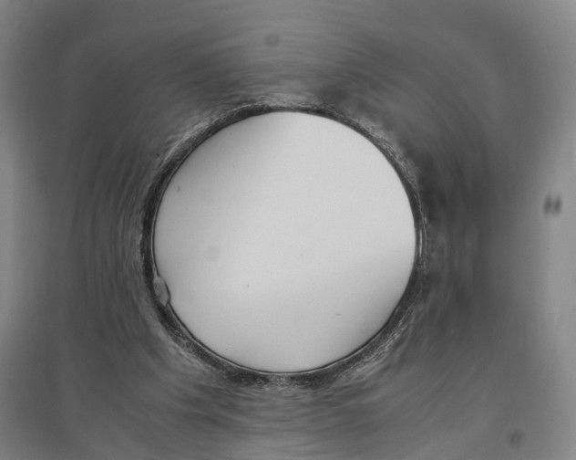 X0000096650201200803041157