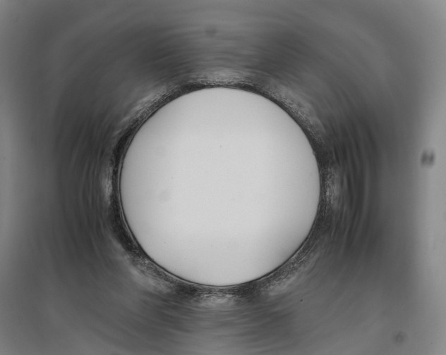 X0000096650206200803041157