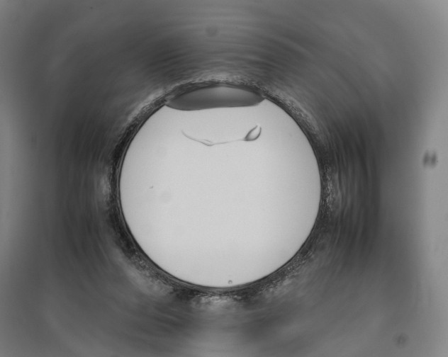 X0000096650208200803041156