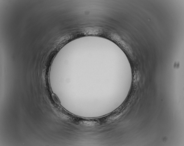 X0000096650209200803041156