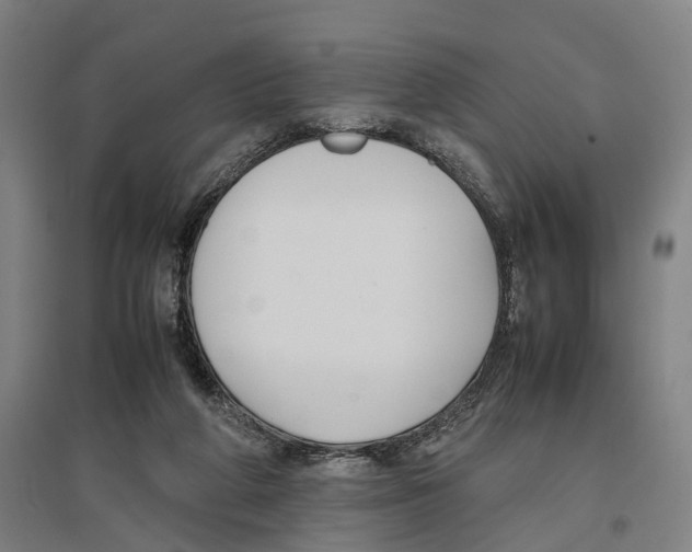 X0000096650210200803041156