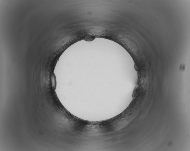 X0000096650211200803041156