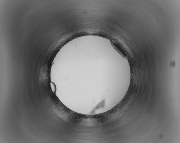 X0000096650212200803041156