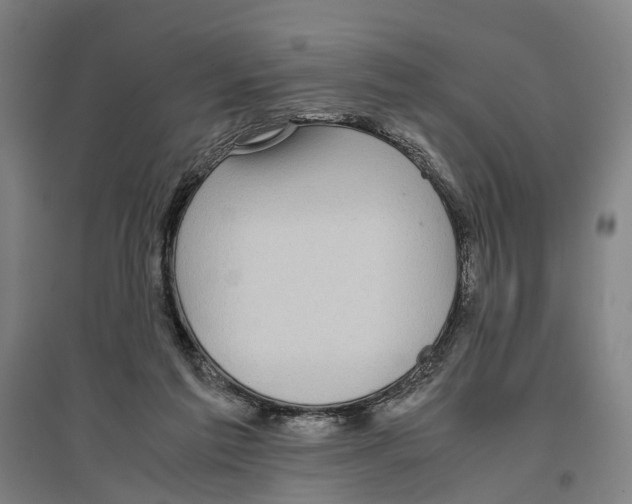 X0000096650213200803041156