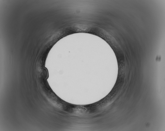 X0000096650215200803041156