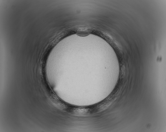 X0000096650217200803041156