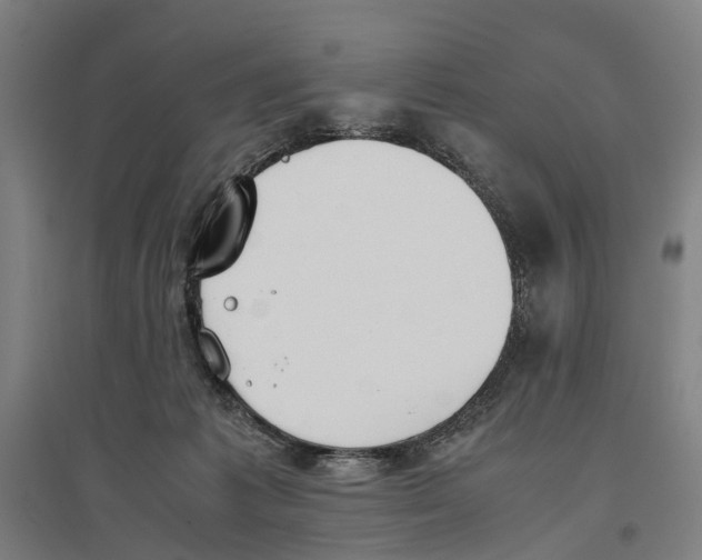 X0000096650221200803041156