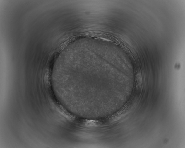 X0000096650222200803041156